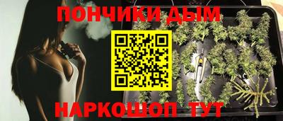 шишки Бузулук