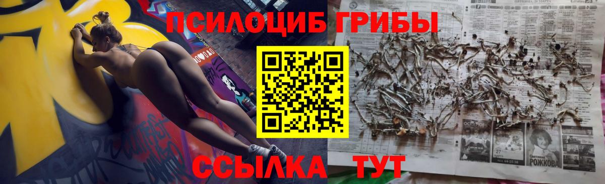 Уссурийск  Псилоцибиновые грибы GOLDEN TEACHER  Вход с VPN 